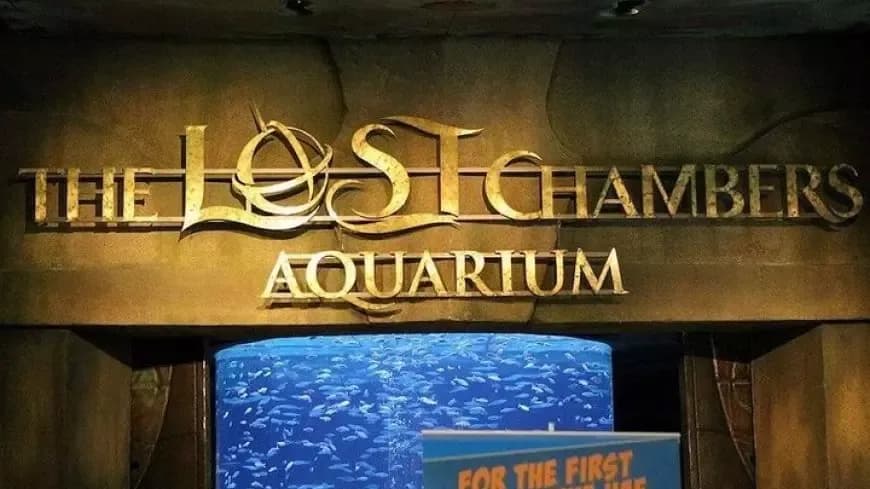 The Lost Chambers Aquarium at Atlantis — photo 1