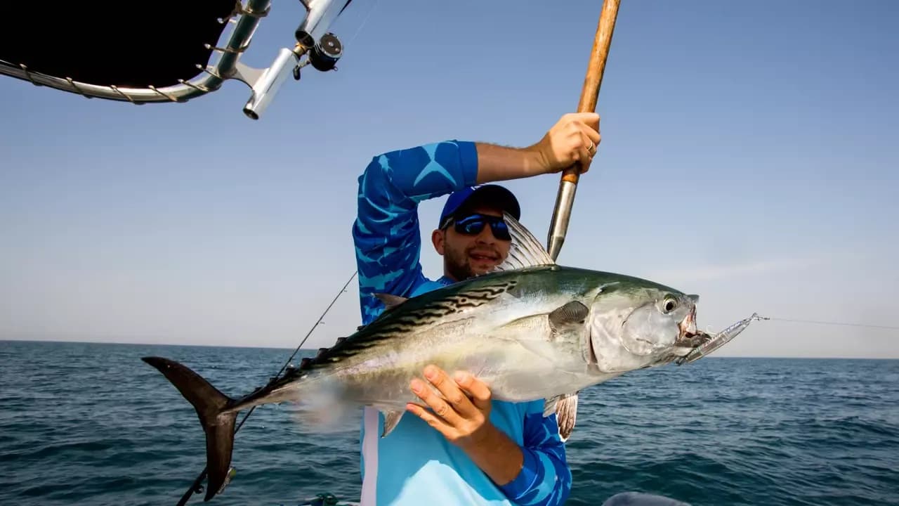 Private Deep Sea Fishing Trip in Dubai — photo 1