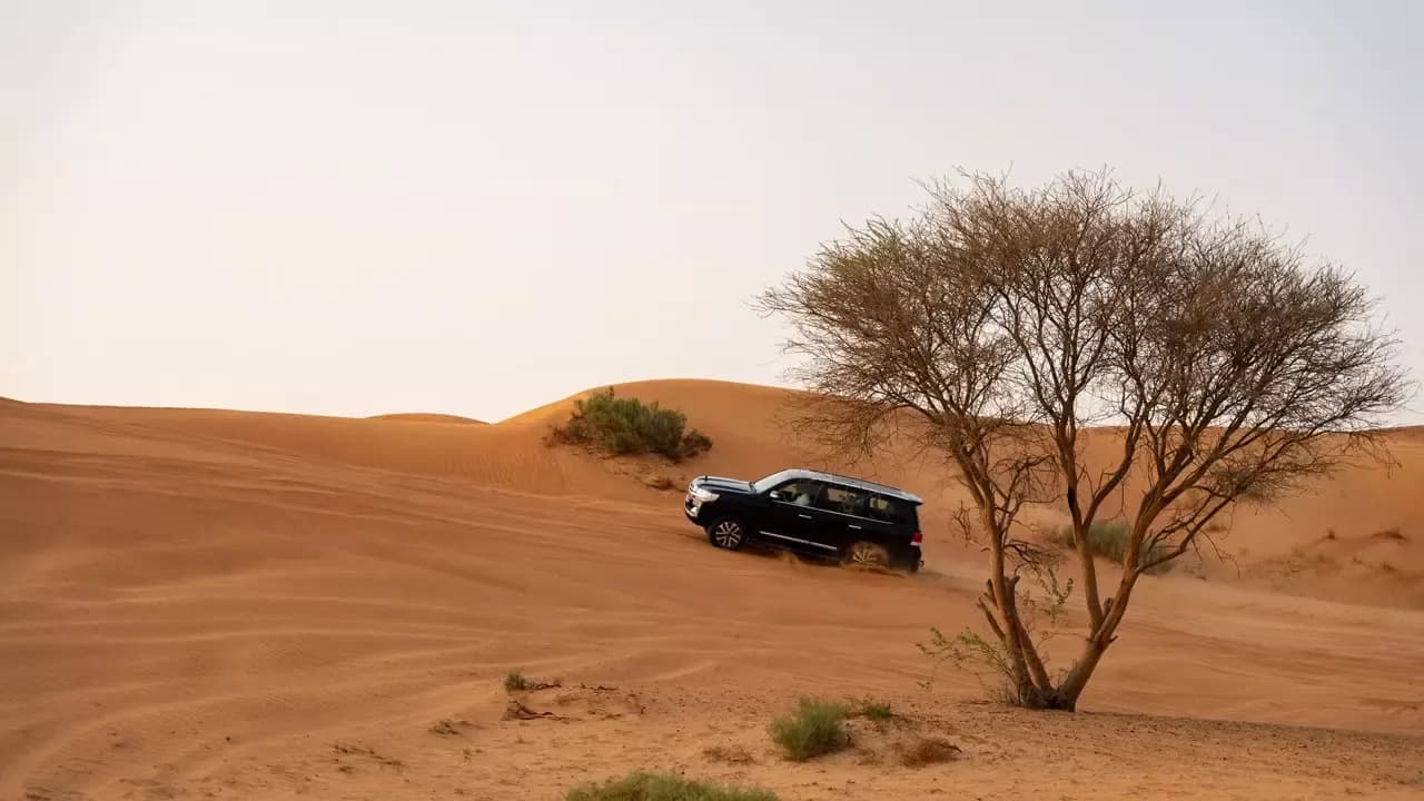 Evening Desert Safari in Ras Al Khaimah — photo 1