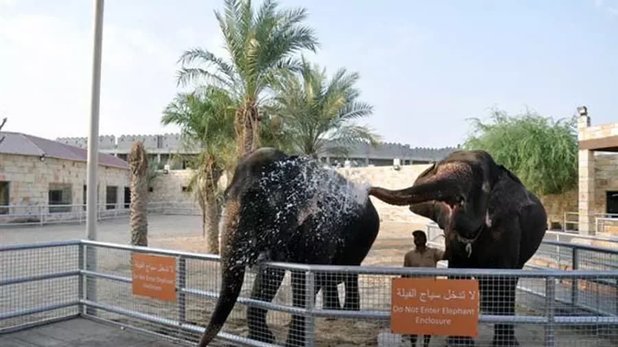 Emirates Park Zoo Abu Dhabi – Explorer Ticket — photo 1