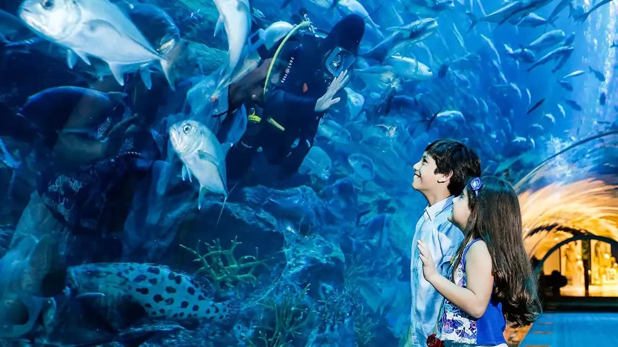 Dubai Aquarium & Underwater Zoo at The Dubai Mall — photo 1