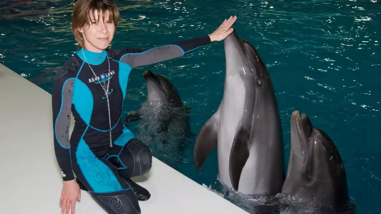 Dubai Dolphinarium Show Tickets — photo 1
