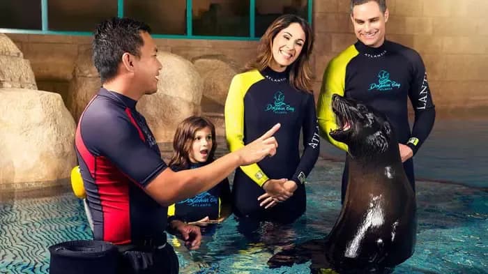 Dolphin Bay at Atlantis The Palm — photo 2