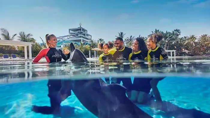 Dolphin Bay at Atlantis The Palm — photo 4