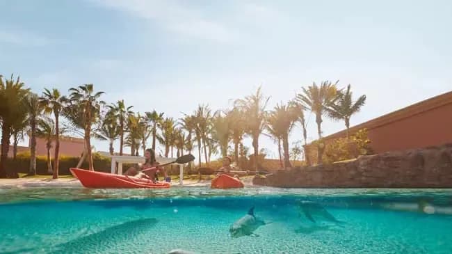 Dolphin Bay at Atlantis The Palm — photo 5