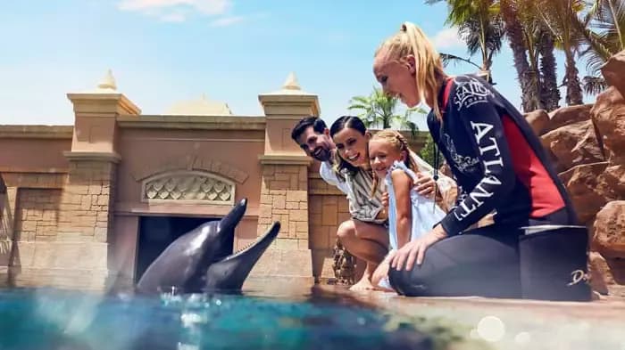 Dolphin Bay at Atlantis The Palm — photo 6