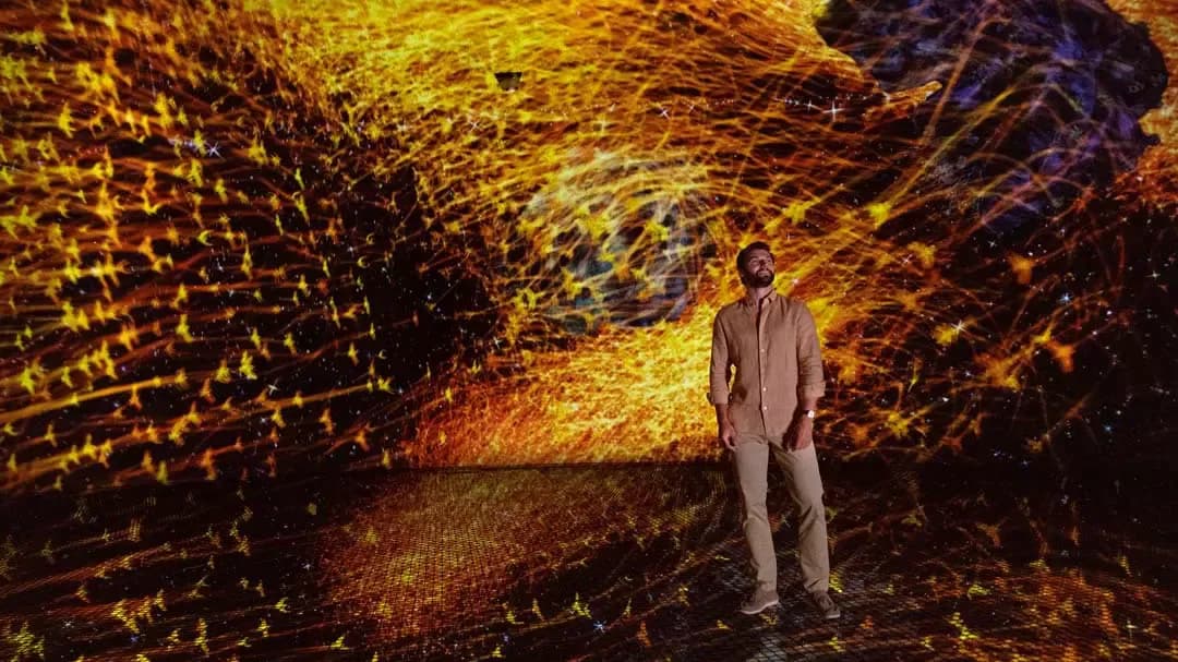 teamLab Phenomena Abu Dhabi Tickets — photo 1