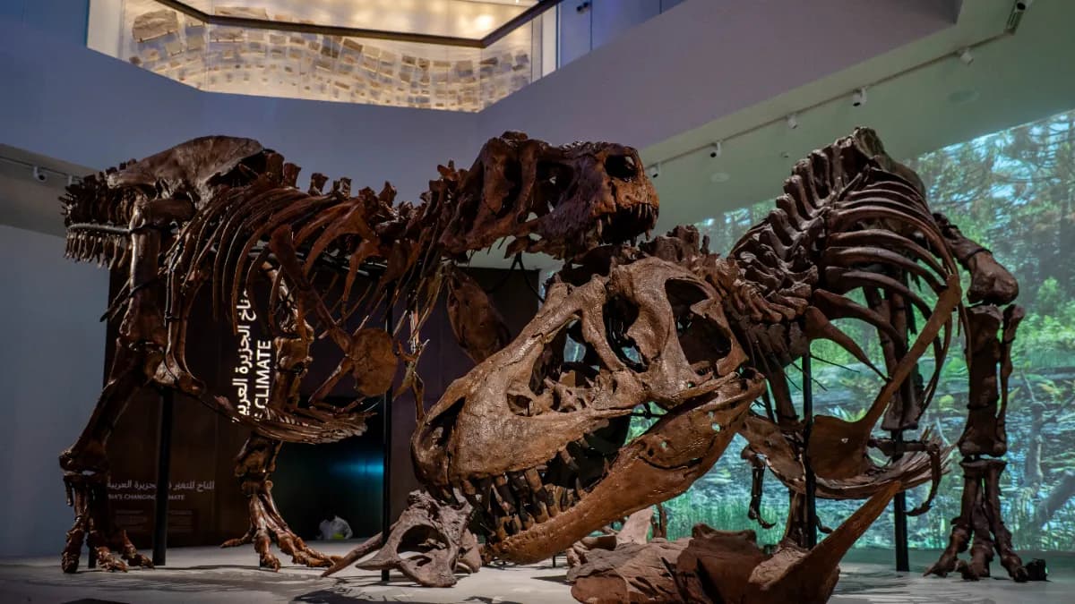Natural History Museum Abu Dhabi Tickets — photo 5