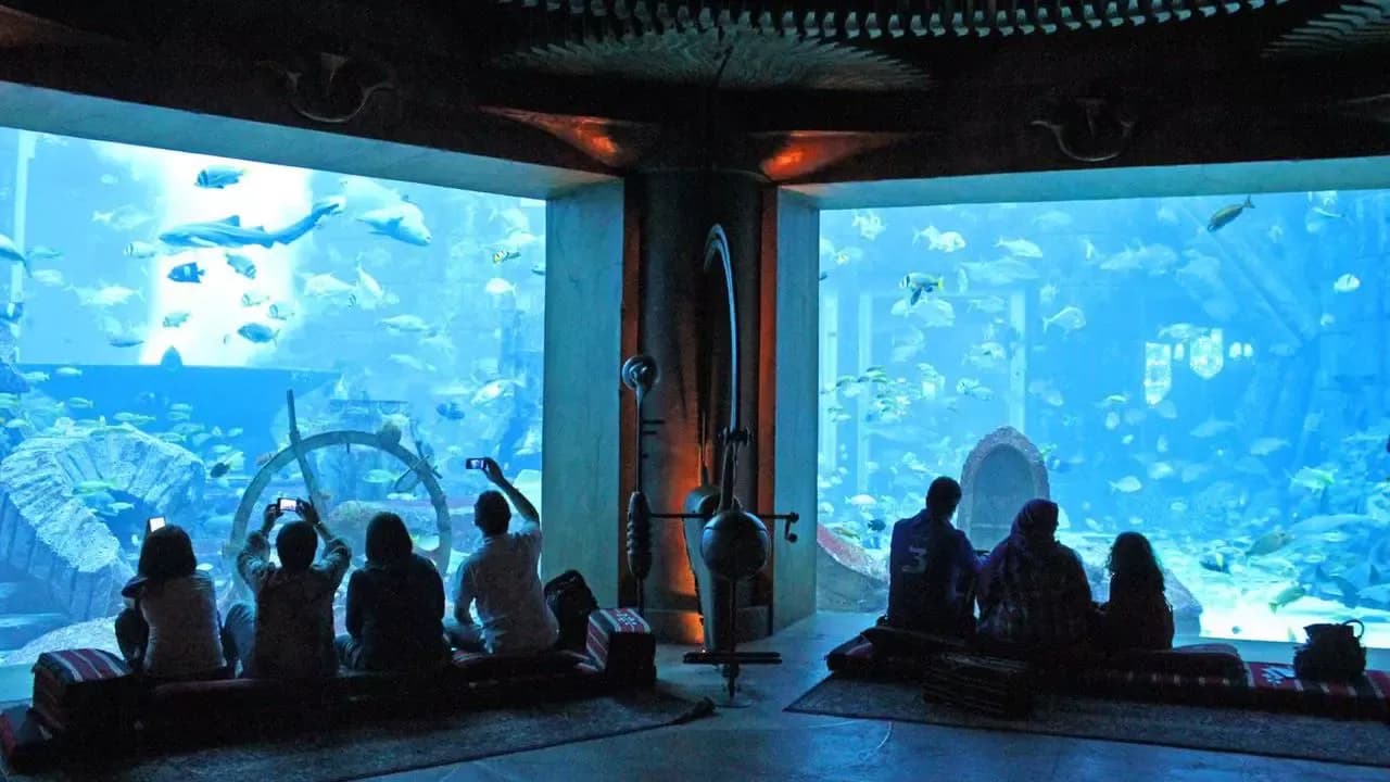 The Lost Chambers Aquarium at Atlantis — photo 3