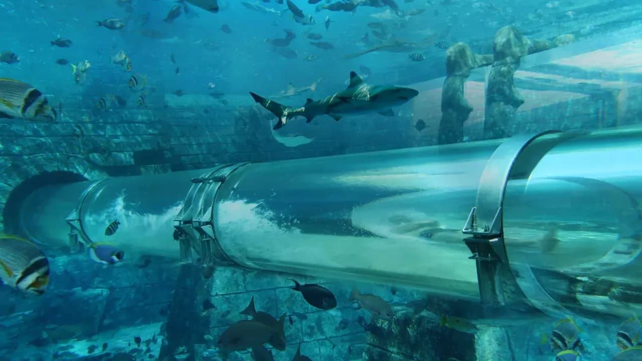 Aquaventure World Waterpark at Atlantis The Palm — photo 6