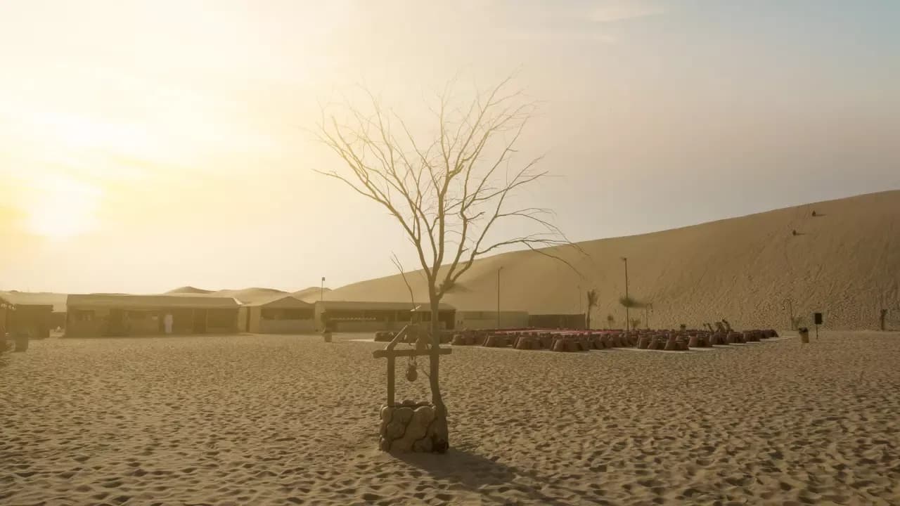 Evening Desert Safari in Abu Dhabi — photo 2