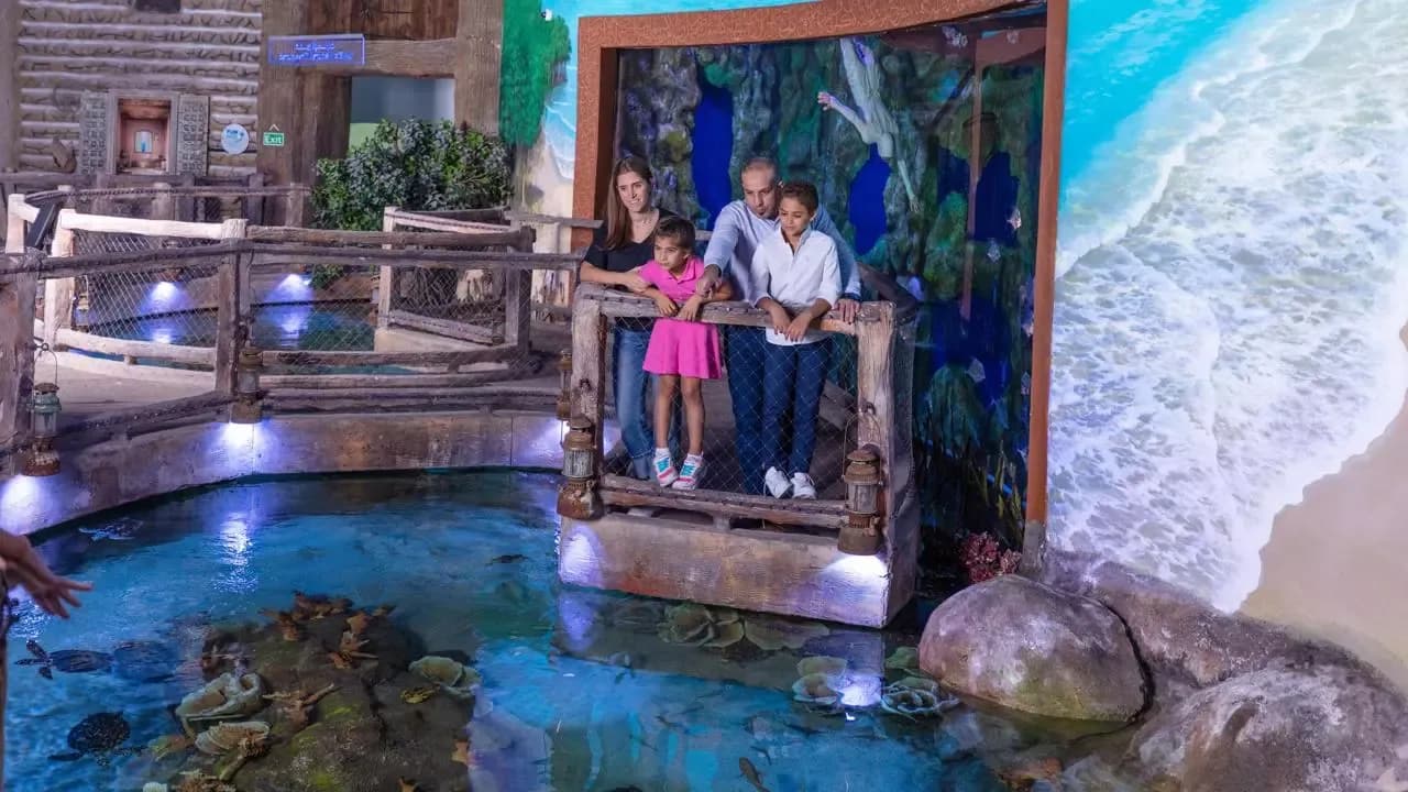 The National Aquarium Abu Dhabi Tickets — photo 5
