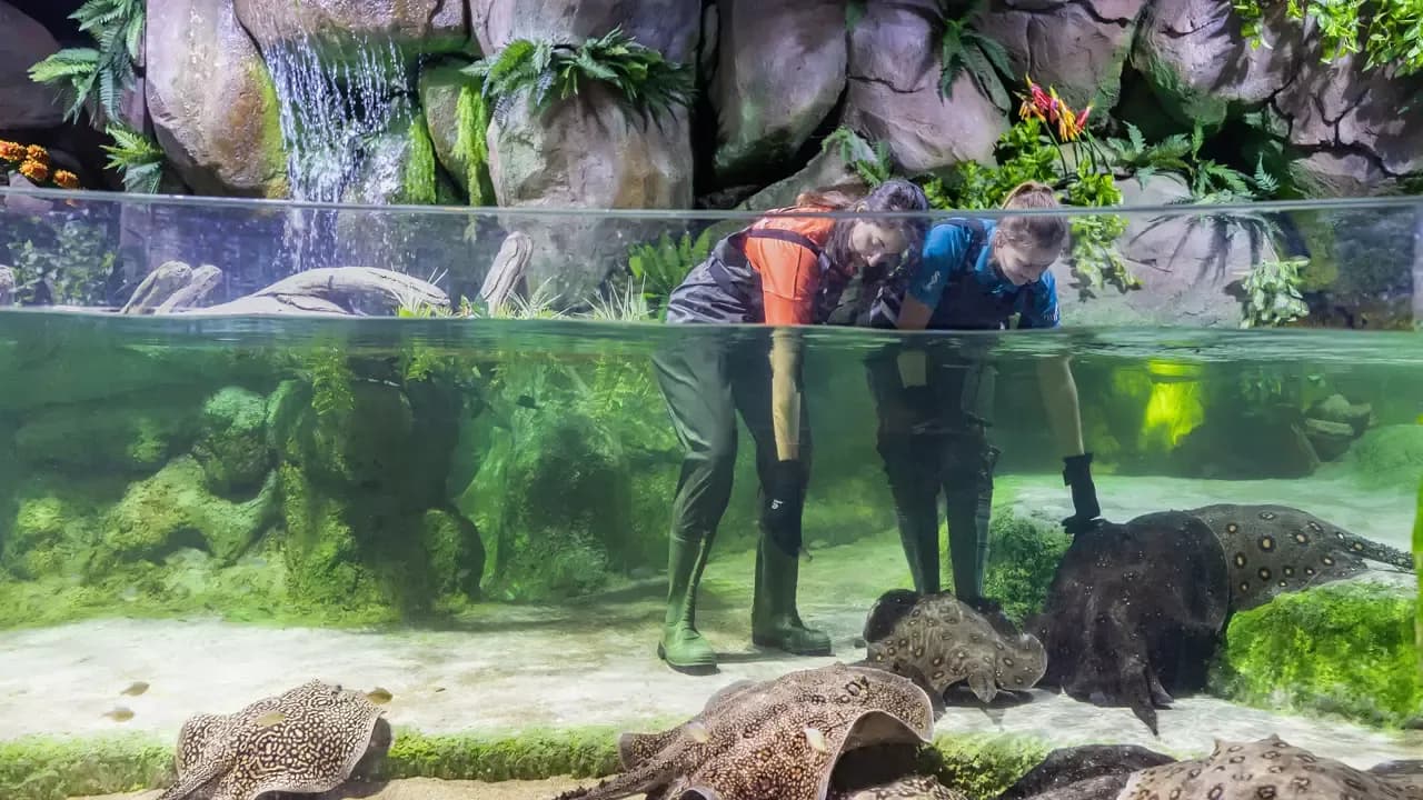 The National Aquarium Abu Dhabi Tickets — photo 6