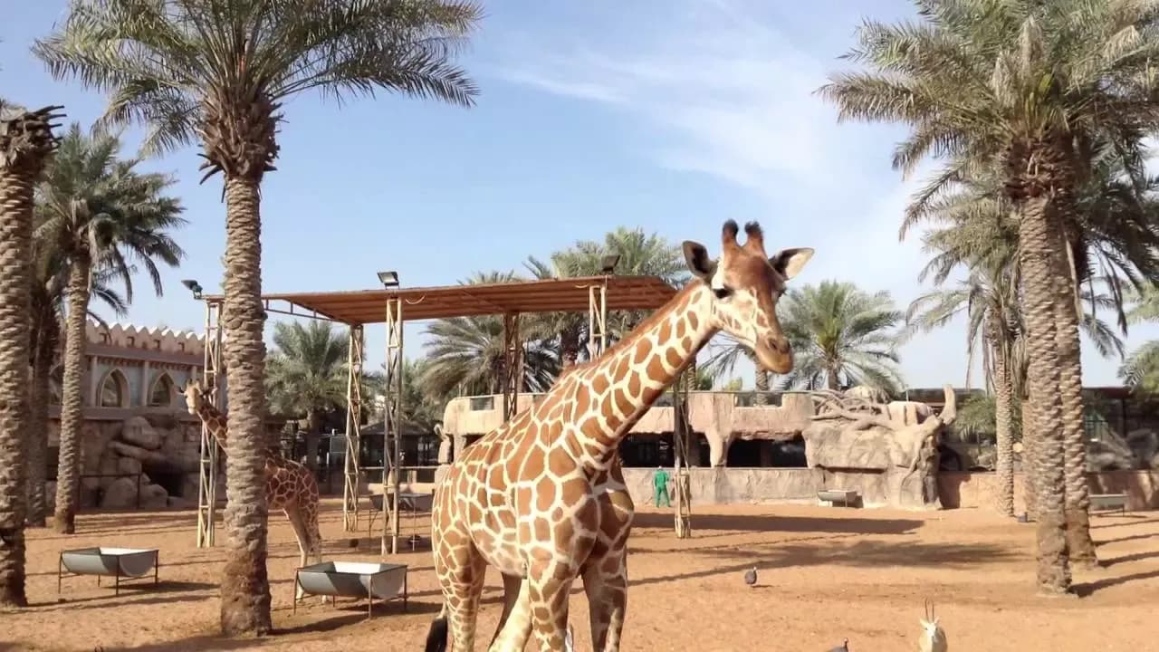 Emirates Park Zoo Abu Dhabi – Explorer Ticket — photo 2