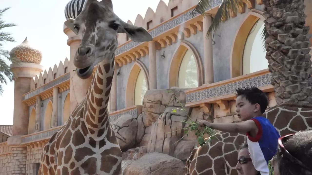 Emirates Park Zoo Abu Dhabi – Explorer Ticket — photo 4