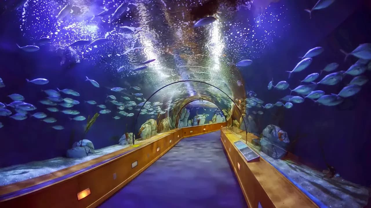 Dubai Aquarium & Underwater Zoo at The Dubai Mall — photo 2
