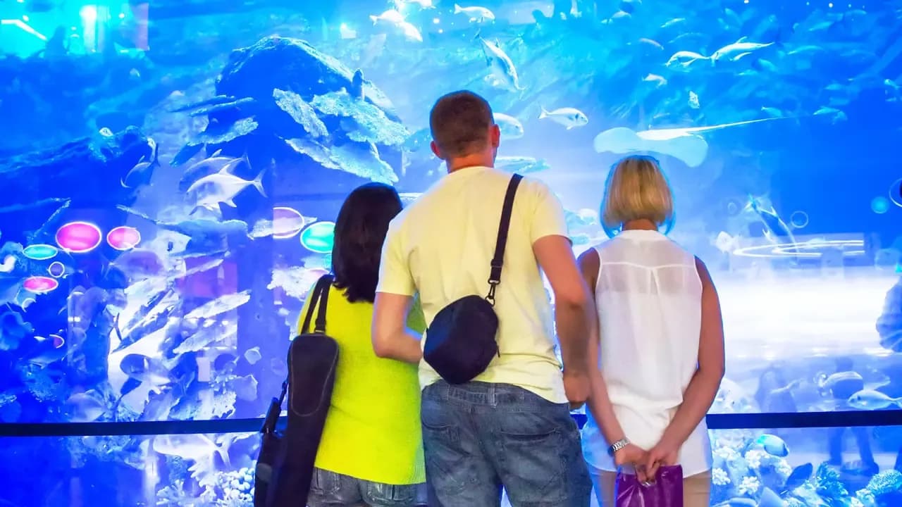 Dubai Aquarium & Underwater Zoo at The Dubai Mall — photo 4