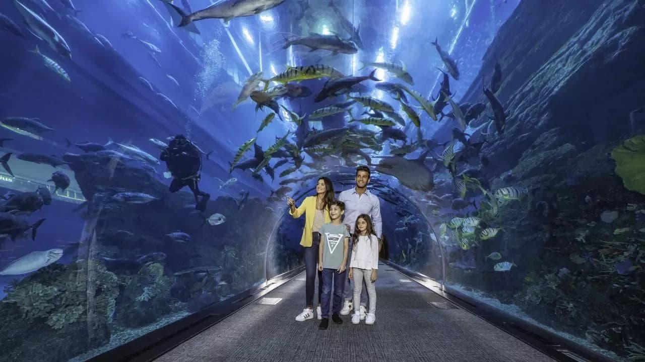 Dubai Aquarium & Underwater Zoo at The Dubai Mall — photo 5