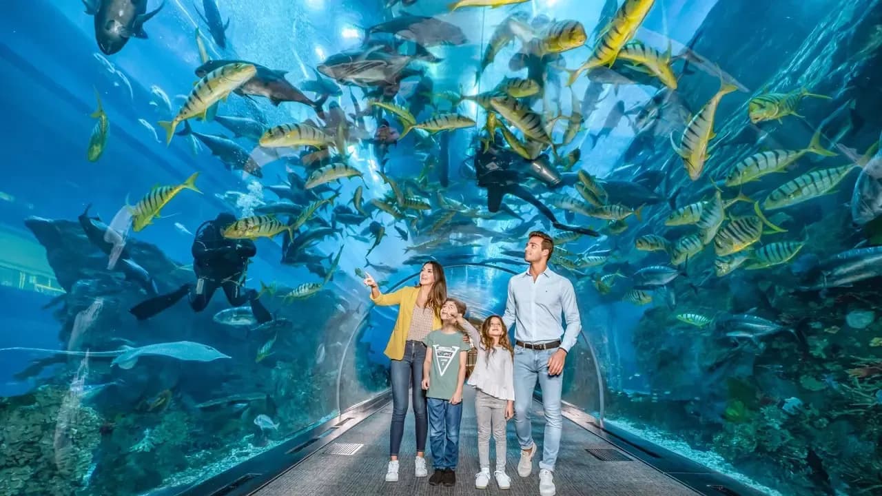 Dubai Aquarium & Underwater Zoo at The Dubai Mall — photo 6