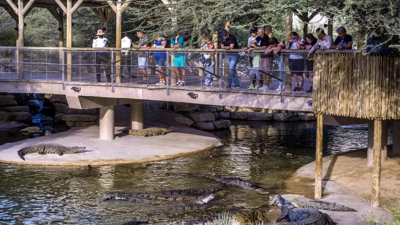 Dubai Crocodile Park Tickets — photo 5