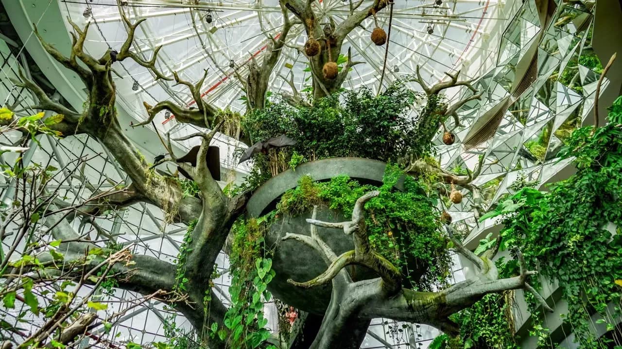 The Green Planet Dubai Tickets — photo 5