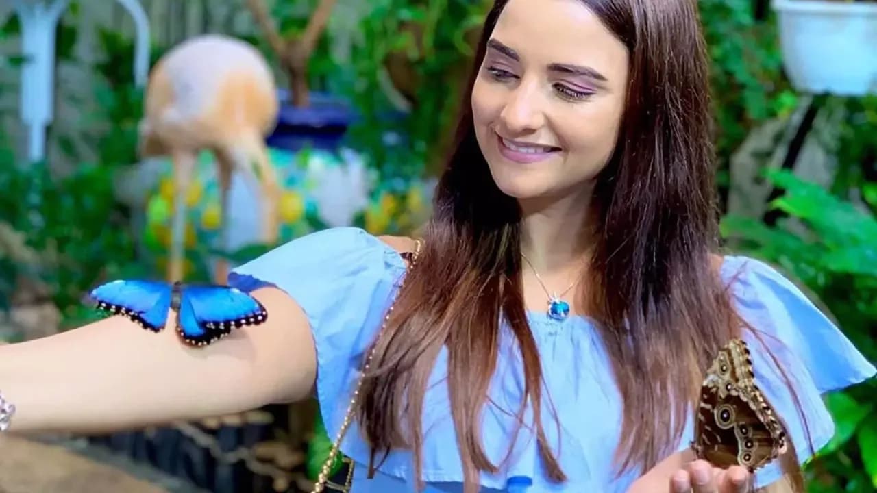 Dubai Butterfly Garden Tickets — photo 4