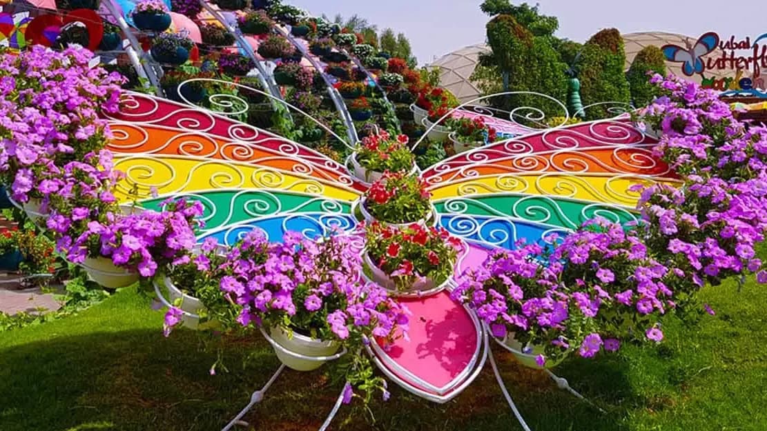 Dubai Butterfly Garden Tickets — photo 5