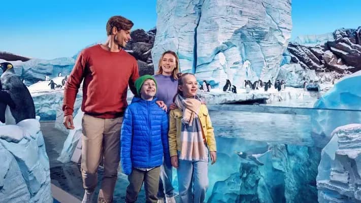 SeaWorld Abu Dhabi Tickets — photo 2
