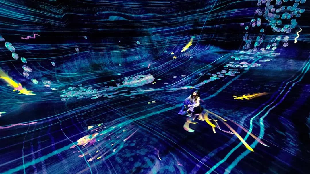 teamLab Phenomena Abu Dhabi Tickets — photo 3